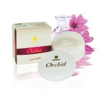 Orchid Orchid